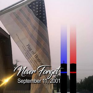 Meet your Posher, Shane